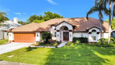 Lake Home For Sale in Palm Harbor, Florida