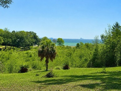 UNMATCHED PRIVACY, SPECTACULAR VIEWS, & ULTIMATE NICEVILLE - photo 1