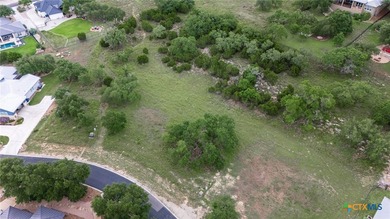 Priced to sell! 1/2 acre lot with great seclusion in the back - photo 4
