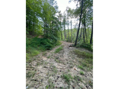 REDUCED: $159,000 40+/-ACRES LOCATED DIRECTLY OFF OF KY 7 MIDWAY - photo 2