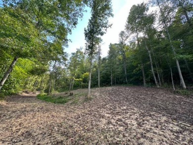 REDUCED: $159,000 40+/-ACRES LOCATED DIRECTLY OFF OF KY 7 MIDWAY - photo 6