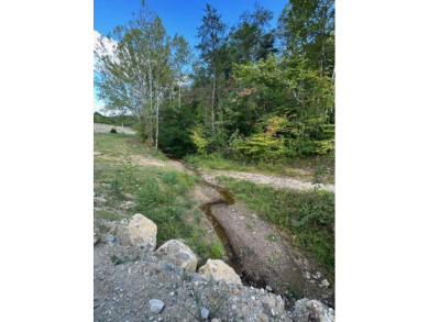 REDUCED: $159,000 40+/-ACRES LOCATED DIRECTLY OFF OF KY 7 MIDWAY - photo 7