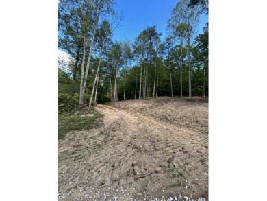 REDUCED: $159,000 40+/-ACRES LOCATED DIRECTLY OFF OF KY 7 MIDWAY - photo 8