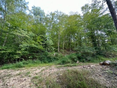 REDUCED: $159,000 40+/-ACRES LOCATED DIRECTLY OFF OF KY 7 MIDWAY - photo 9