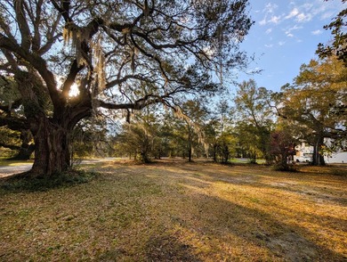 1-acre lot with gorgeous live oaks throughout in the beautiful - photo 1