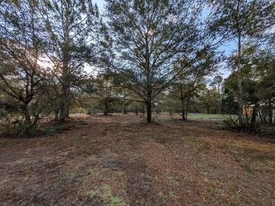 1-acre lot with gorgeous live oaks throughout in the beautiful - photo 3