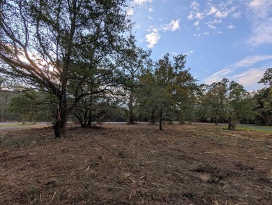 1-acre lot with gorgeous live oaks throughout in the beautiful - photo 4