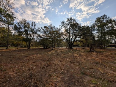 1-acre lot with gorgeous live oaks throughout in the beautiful - photo 5