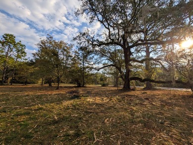 1-acre lot with gorgeous live oaks throughout in the beautiful - photo 6