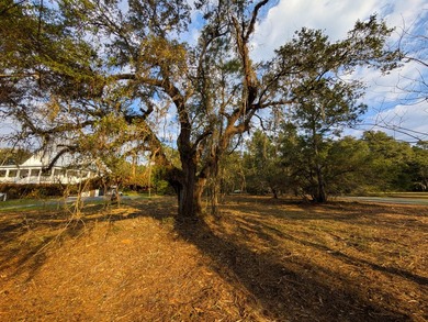1-acre lot with gorgeous live oaks throughout in the beautiful - photo 7