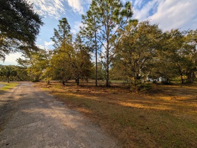 1-acre lot with gorgeous live oaks throughout in the beautiful - photo 8
