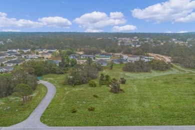 Lake Marion - Polk County Lot For Sale in Poinciana Florida