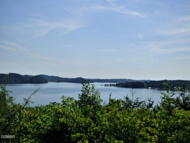 Douglas Lake Acreage For Sale in Dandridge Tennessee
