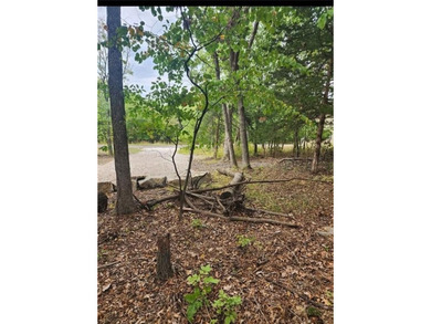 Building lot only. Utility connections available nearby - photo 3