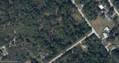 Lake Istokpoga Lot For Sale in Lake Placid Florida