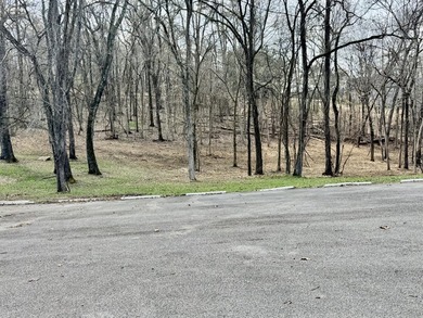 Don't miss this incredible opportunity to own a 2.11-acre - photo 15