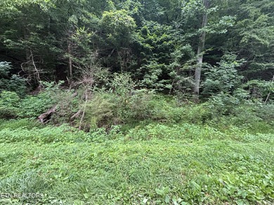 Watts Bar Lake Lot Sale Pending in Harriman Tennessee