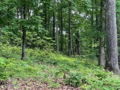 Lake Acreage For Sale in Rockwood, Tennessee