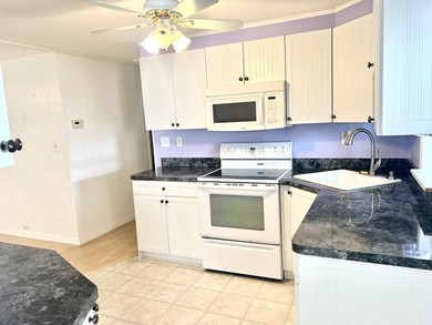 Beautiful two bedroom, two bath home in one of Pinellas County's - photo 11