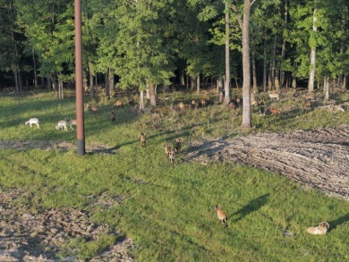 Property Description For over 40 years, Heritage Ridge has been - photo 22