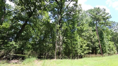 Lake Sam Rayburn  Lot For Sale in Broaddus Texas