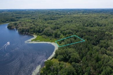 (private lake, pond, creek) Acreage For Sale in Rodney Michigan