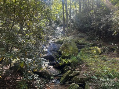 Lake Lure Acreage For Sale in Lake Lure North Carolina