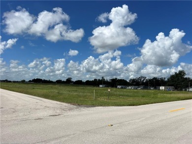 Lake Commercial For Sale in Lake Placid, Florida