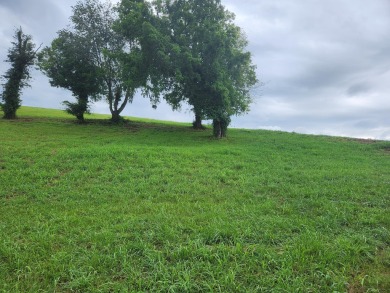 Lake Lot For Sale in Morristown, Tennessee