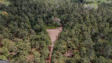 (private lake, pond, coastal) Acreage For Sale in Carrollton Georgia