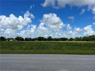 Lake Persimmon Commercial For Sale in Lake Placid Florida