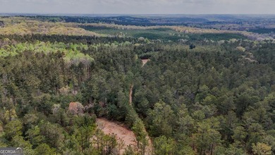 This expansive tract offers exceptional development and - photo 2