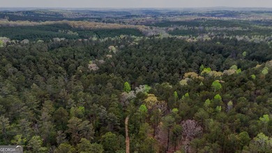 This expansive tract offers exceptional development and - photo 3
