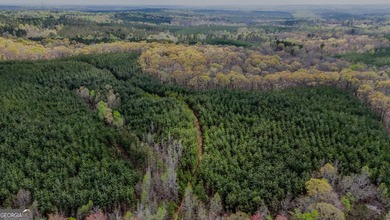 This expansive tract offers exceptional development and - photo 6