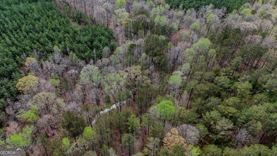 This expansive tract offers exceptional development and - photo 7