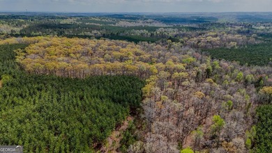 This expansive tract offers exceptional development and - photo 8