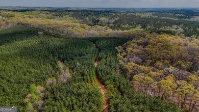 This expansive tract offers exceptional development and - photo 9