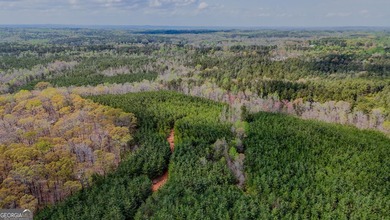This expansive tract offers exceptional development and - photo 10