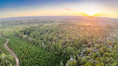 Sabine River - Newton County Acreage For Sale in Burkeville Texas