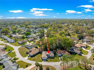 Looking for more space, easier upkeep and an active Florida - photo 17