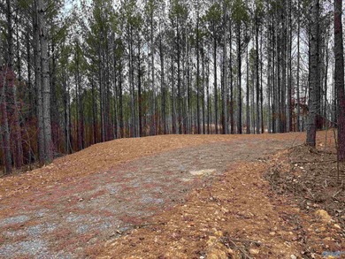 Weiss Lake Acreage For Sale in Centre Alabama