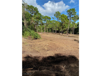 ***NO WETLANDS, ALL USABLE LAND*** Tucked away on what is kindly - photo 1