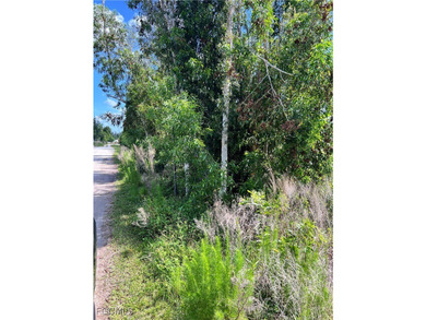 ***NO WETLANDS, ALL USABLE LAND*** Tucked away on what is kindly - photo 4