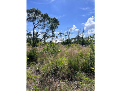 ***NO WETLANDS, ALL USABLE LAND*** Tucked away on what is kindly - photo 5