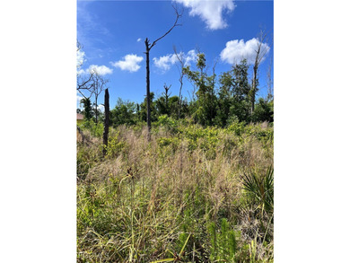 ***NO WETLANDS, ALL USABLE LAND*** Tucked away on what is kindly - photo 6