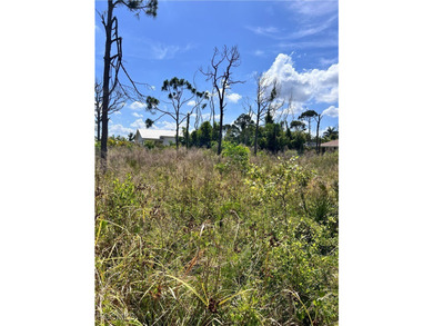 ***NO WETLANDS, ALL USABLE LAND*** Tucked away on what is kindly - photo 7