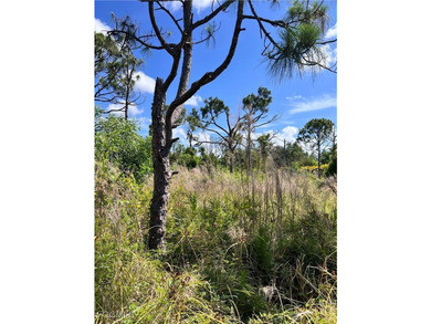 ***NO WETLANDS, ALL USABLE LAND*** Tucked away on what is kindly - photo 8