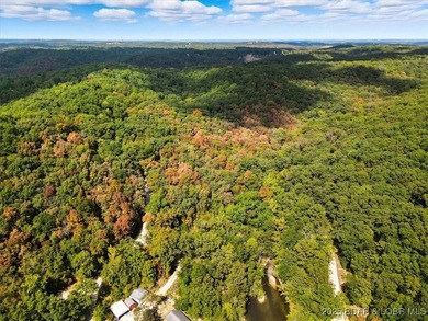 Lakefront opportunity on the 34 MM! This wooded cove location - photo 11