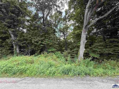 Cagles Mill Lake Lot For Sale in Poland Indiana