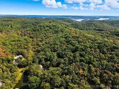 Lakefront opportunity on the 34 MM! This wooded cove location - photo 16